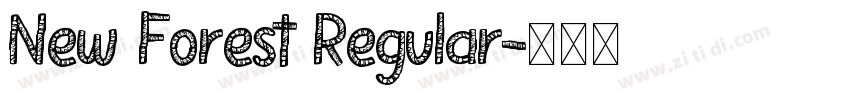 New Forest Regular字体转换